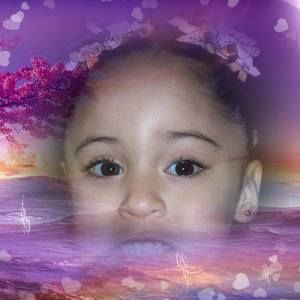 Meet your Posher, Elsa